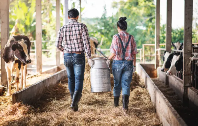 協調性をもって作業に取り組んでいます